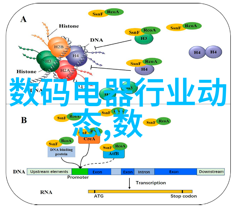 建筑防水的不懈追求外墙补漏技巧与实践