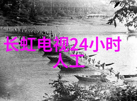 2022年装修风格效果图分析追踪现代居住空间设计趋势与创新应用