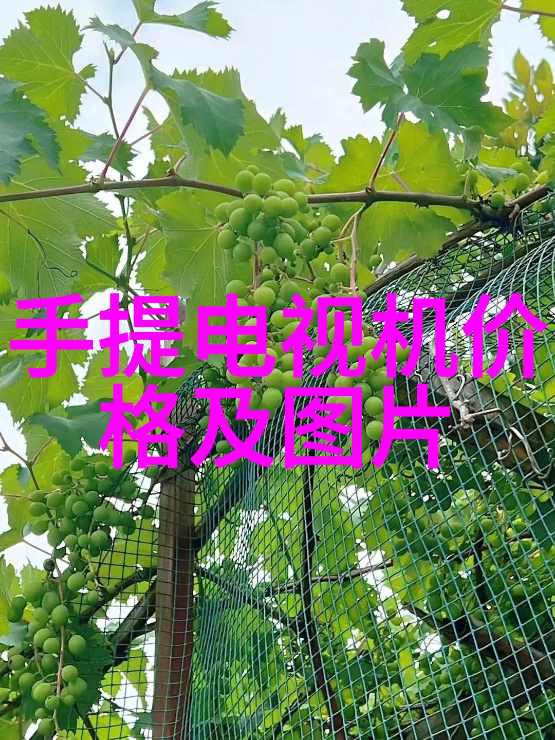 高压蒸汽灭菌锅的类型我来告诉你几个常见的型号别