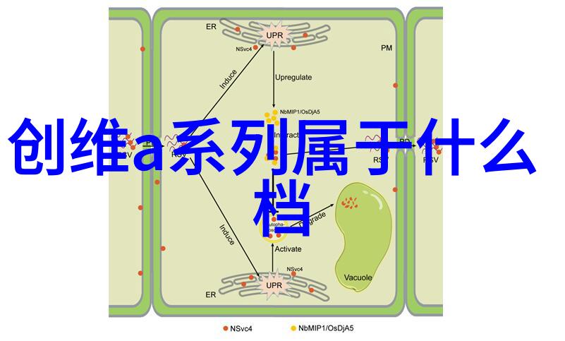 地平线下的秘密环氧地坪工程的未知真相