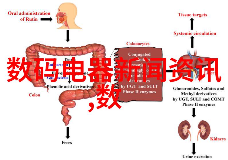 基石之谜地基基础工程的隐秘验收