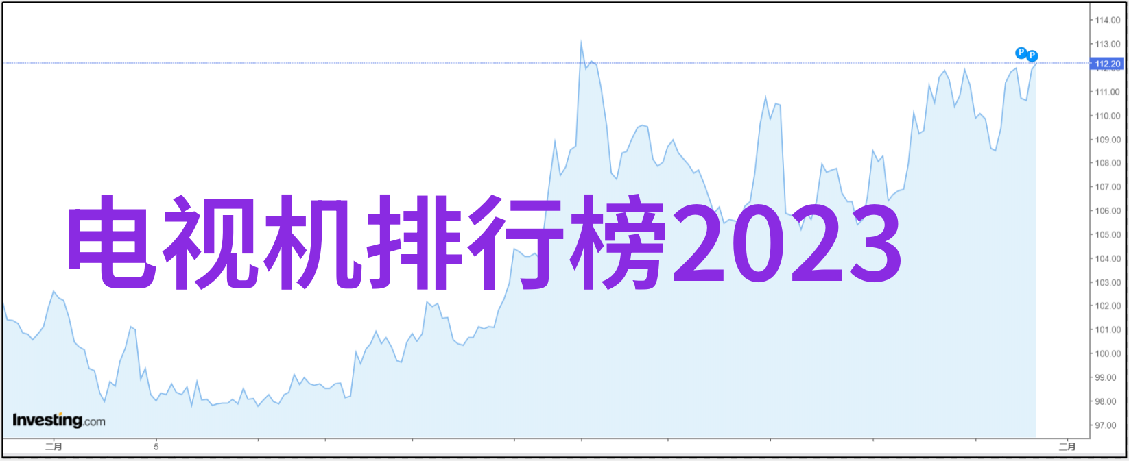 兔宝宝的温暖午后跳跃蜷缩与无尽的可爱瞬间