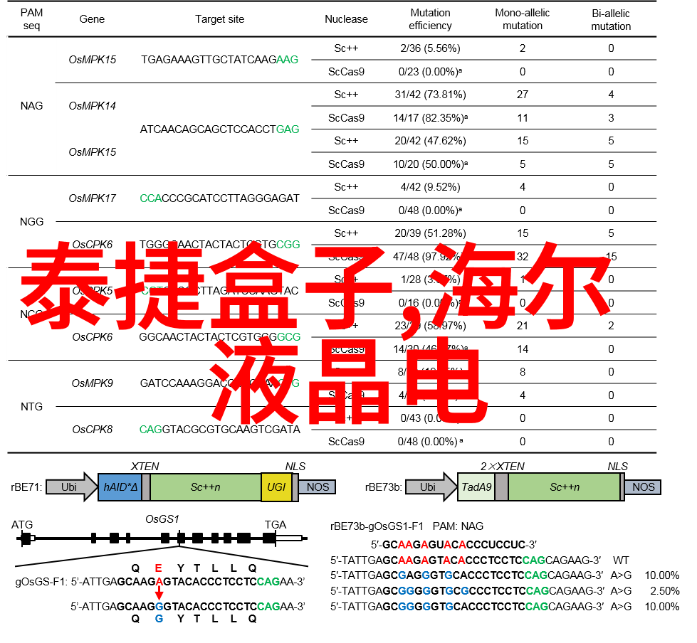 消毒清洁服务报价表专业定制一平米费用