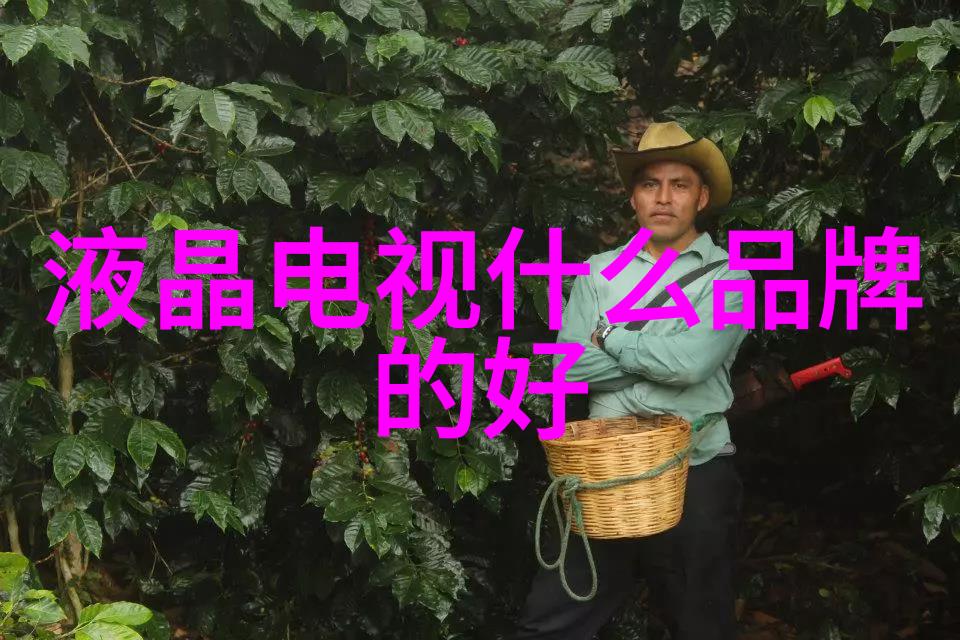 深渊之芯揭秘嵌入式应用系统的未知领域