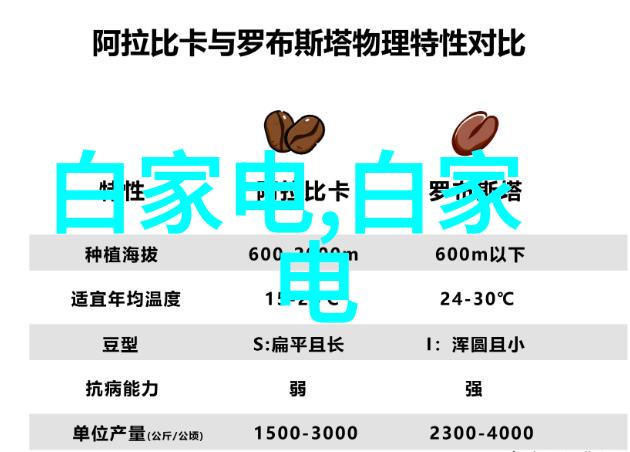 首页拍照技巧如何在家就能拍出专业级的首页照片