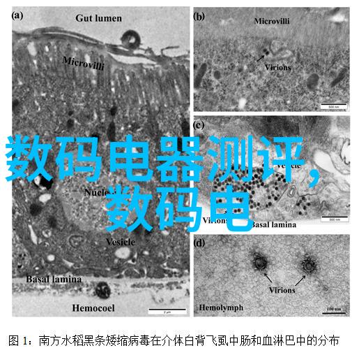 个人工作总结格式范文回顾成长展望未来