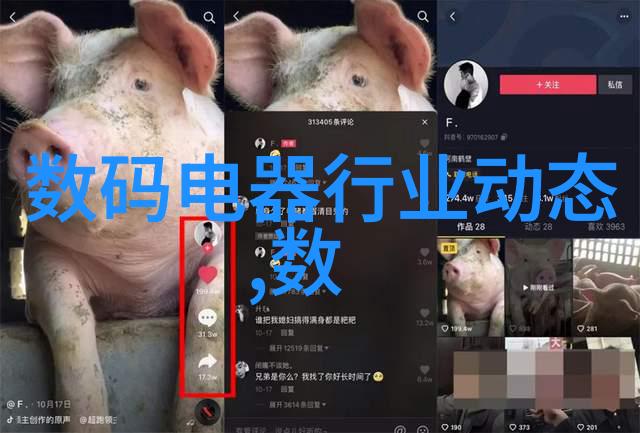 光影交错探索反光板在摄影中的艺术魅力与实用技巧