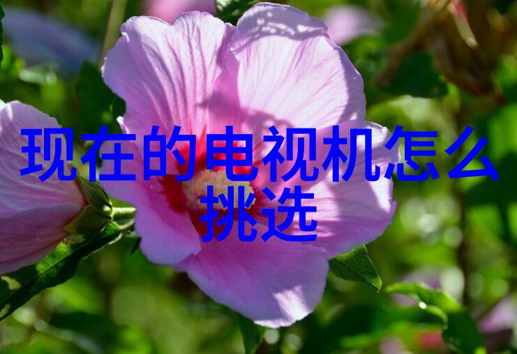 芯片股票有哪些龙头股份我来告诉你这些芯片股中的明星