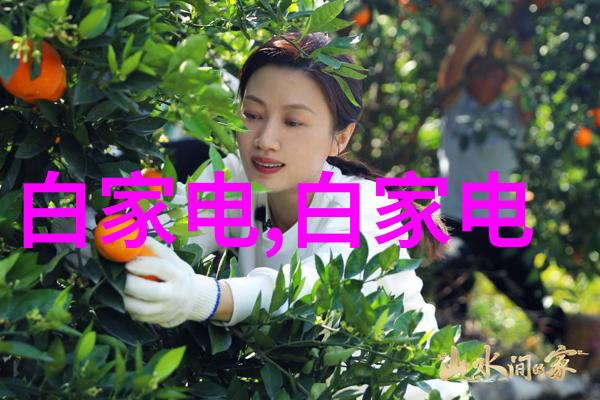 家庭装修常识创意收纳家具大师 - 带储物箱的床和沙发让空间更有用