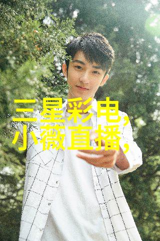 书香楼阁书柜的故事与魅力