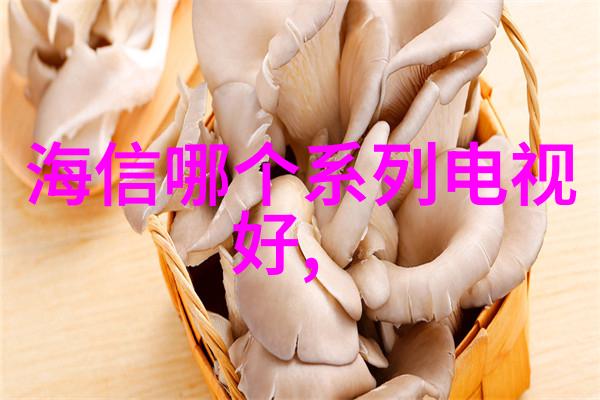 输送机设备-自动化物料传输系统的精髓与挑战