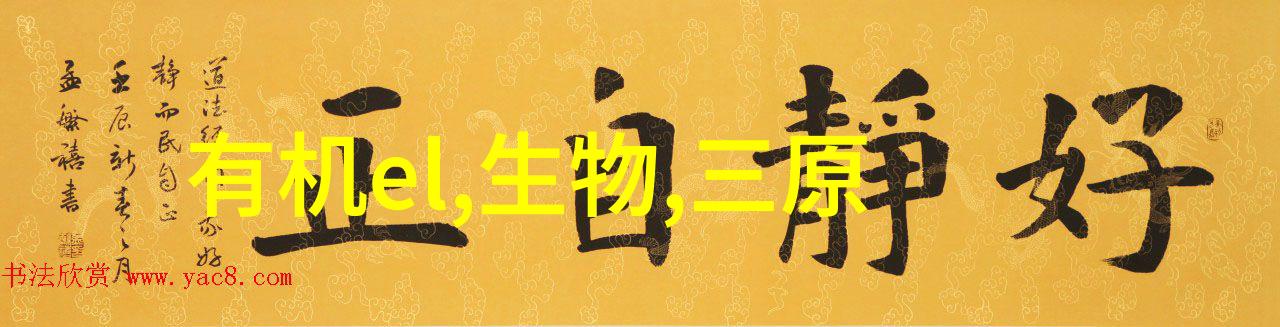 广西国际商务职业技术学院-深耕国际化广西商院引领未来商贸教育潮流