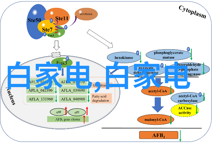 食品包装消毒的守护者VHP无菌传递舱定制之选