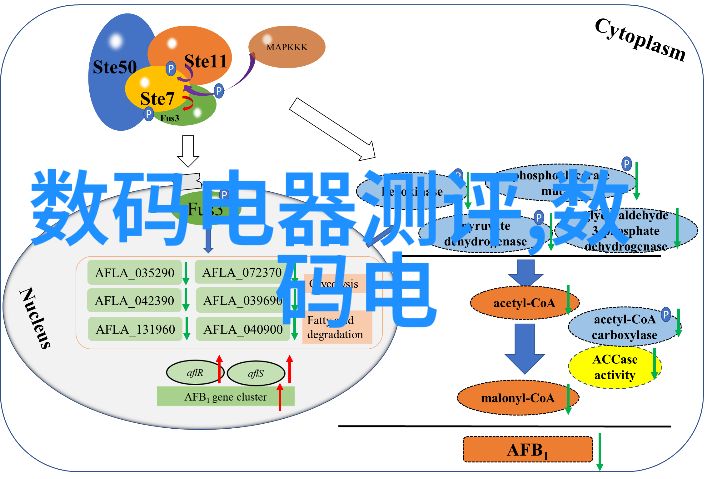 小客厅装修效果图设计灵感简约现代风格小户型家居布局