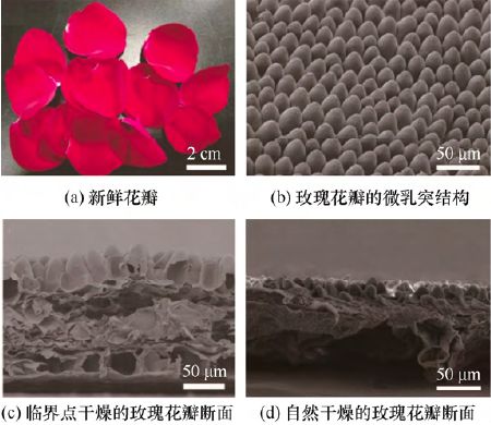 电子材料与元器件制造学什么_电子材料与元器件_电子材料